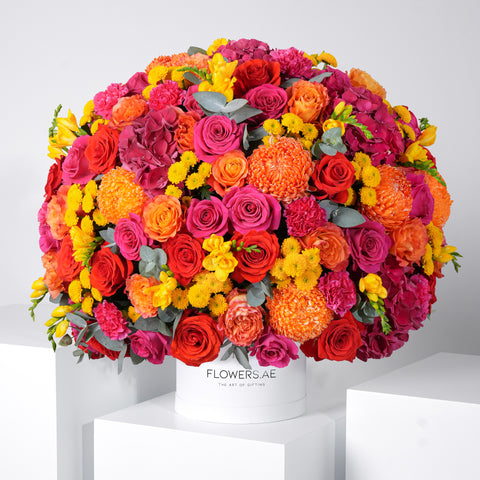 Congratulations Noura Hatbox