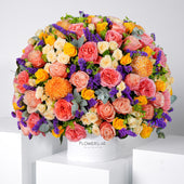 Celina Hatbox