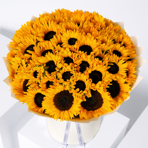 50 Sunflowers