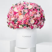 Royale Alissa Hatbox