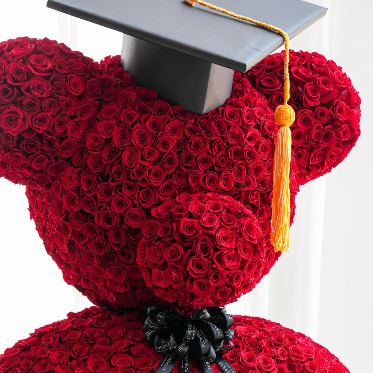 Graduation Teddy