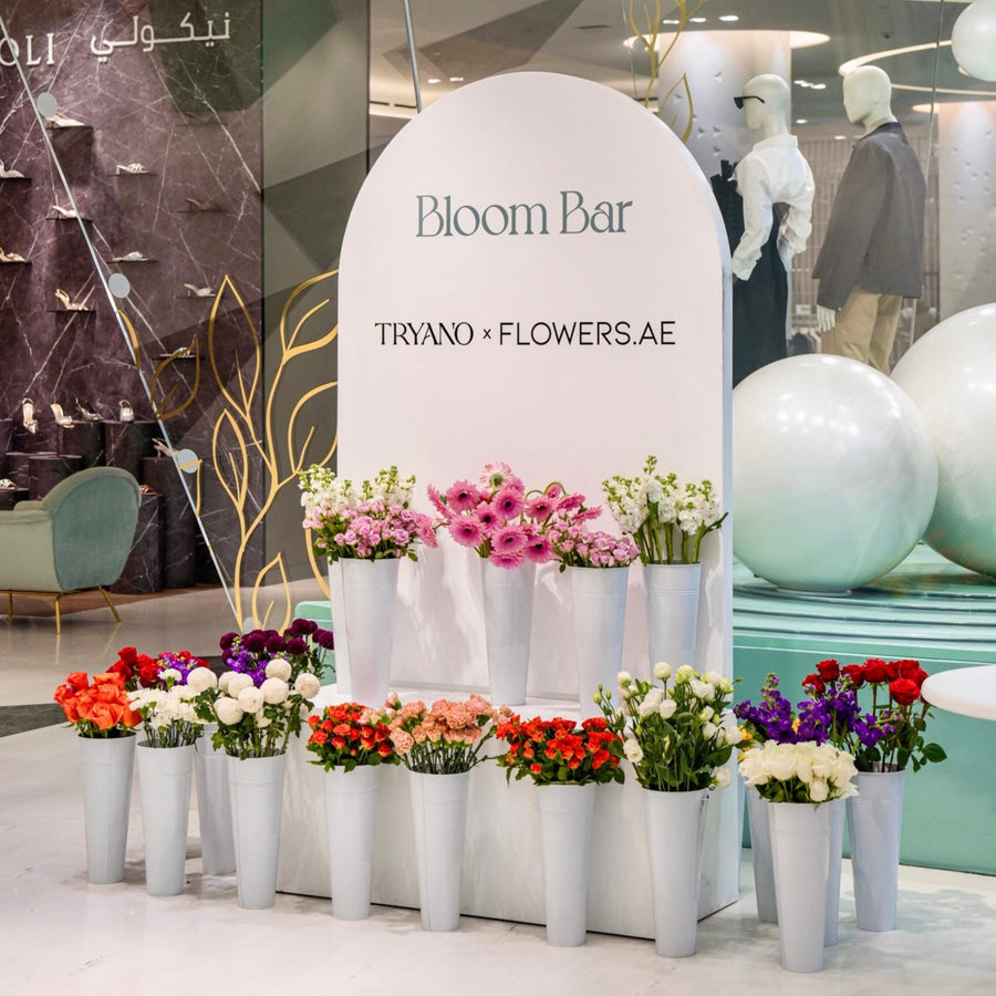 The Bloom Bar
of Your Dreams