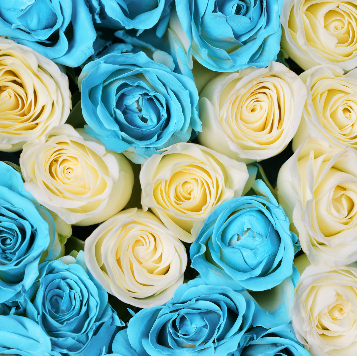 Tiffany Blue Letter Hatbox