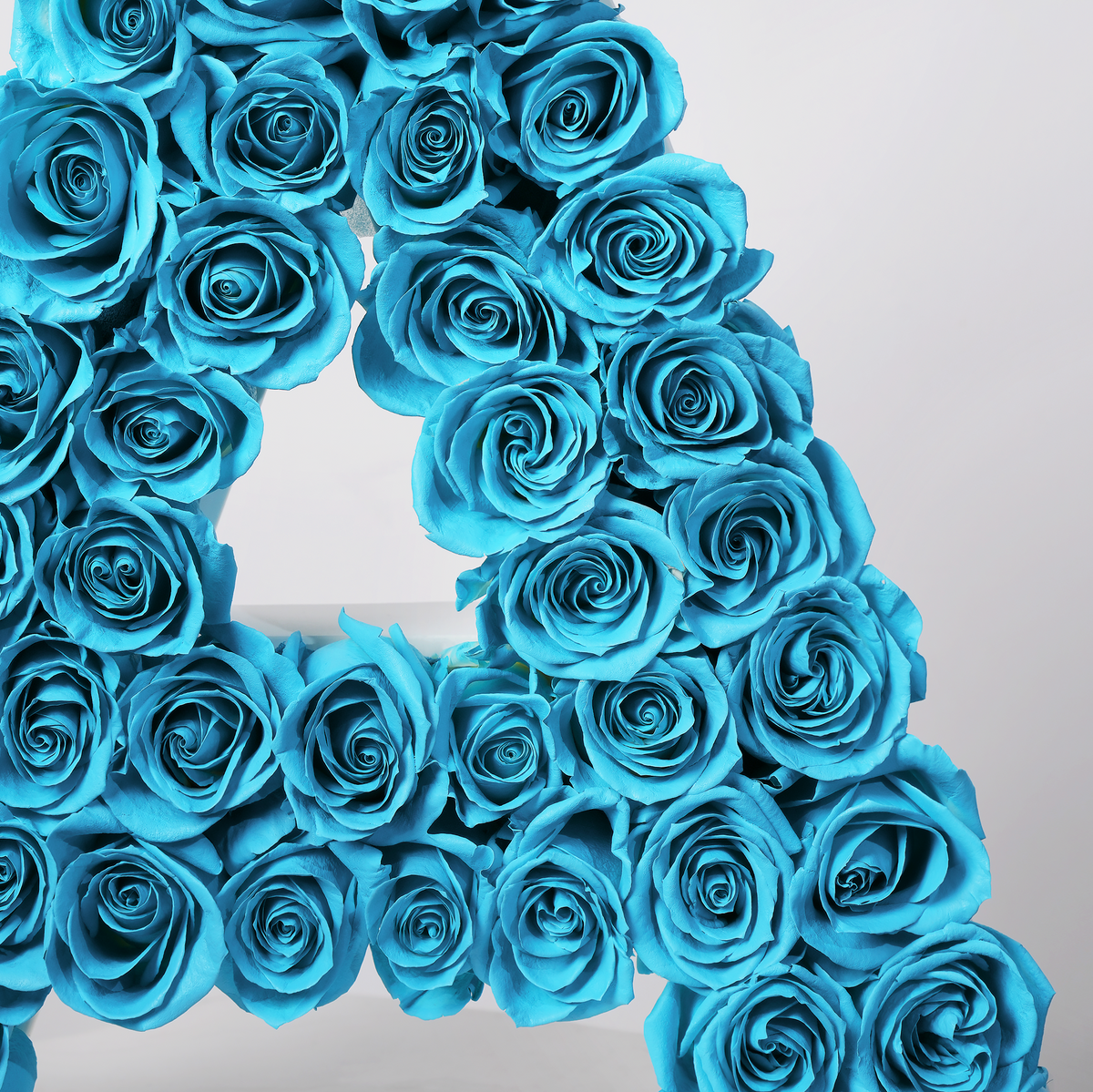 Rose Letter