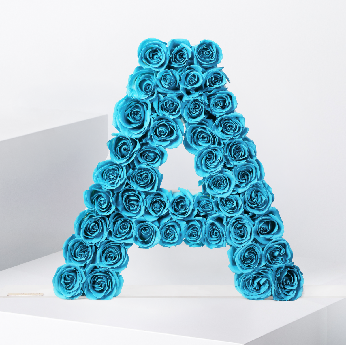 Rose Letter