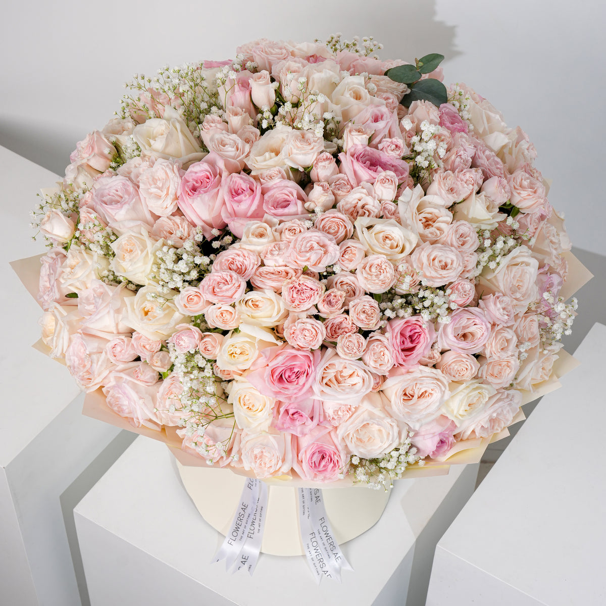 Anniversary Adelle