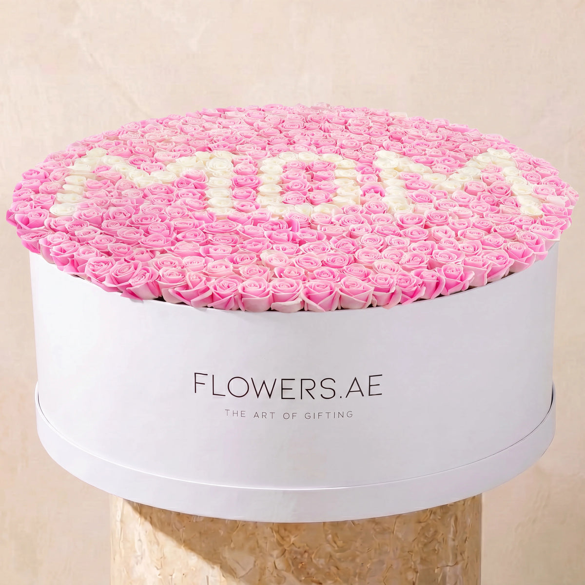 XXXL MOM Hatbox