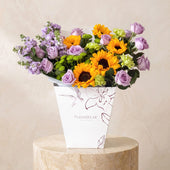 Provence
