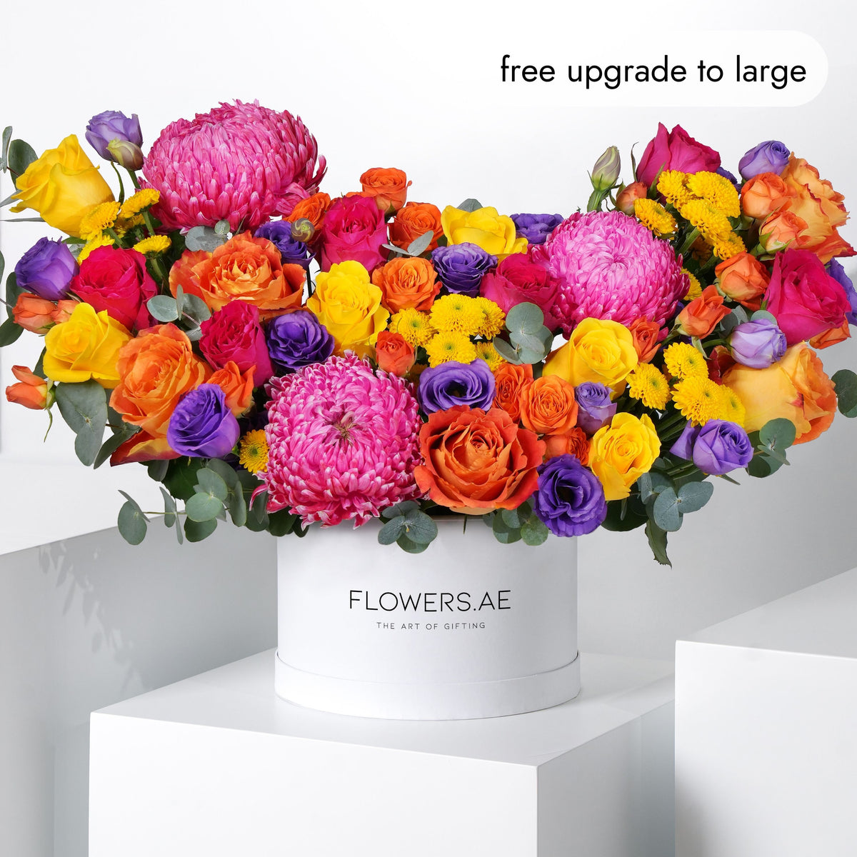 Vibrant Hatbox