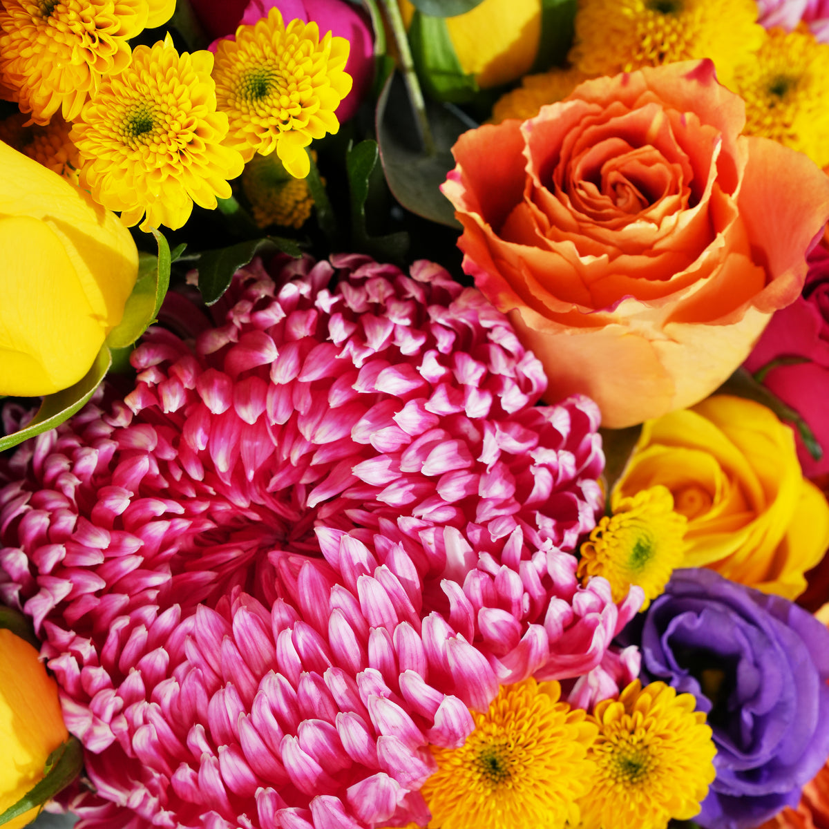 Vibrant