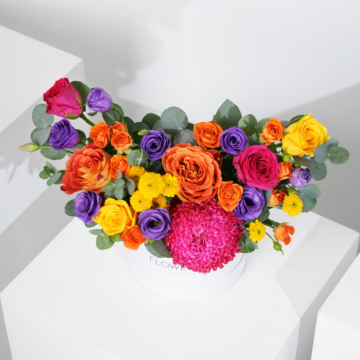 Petite Vibrant Hatbox