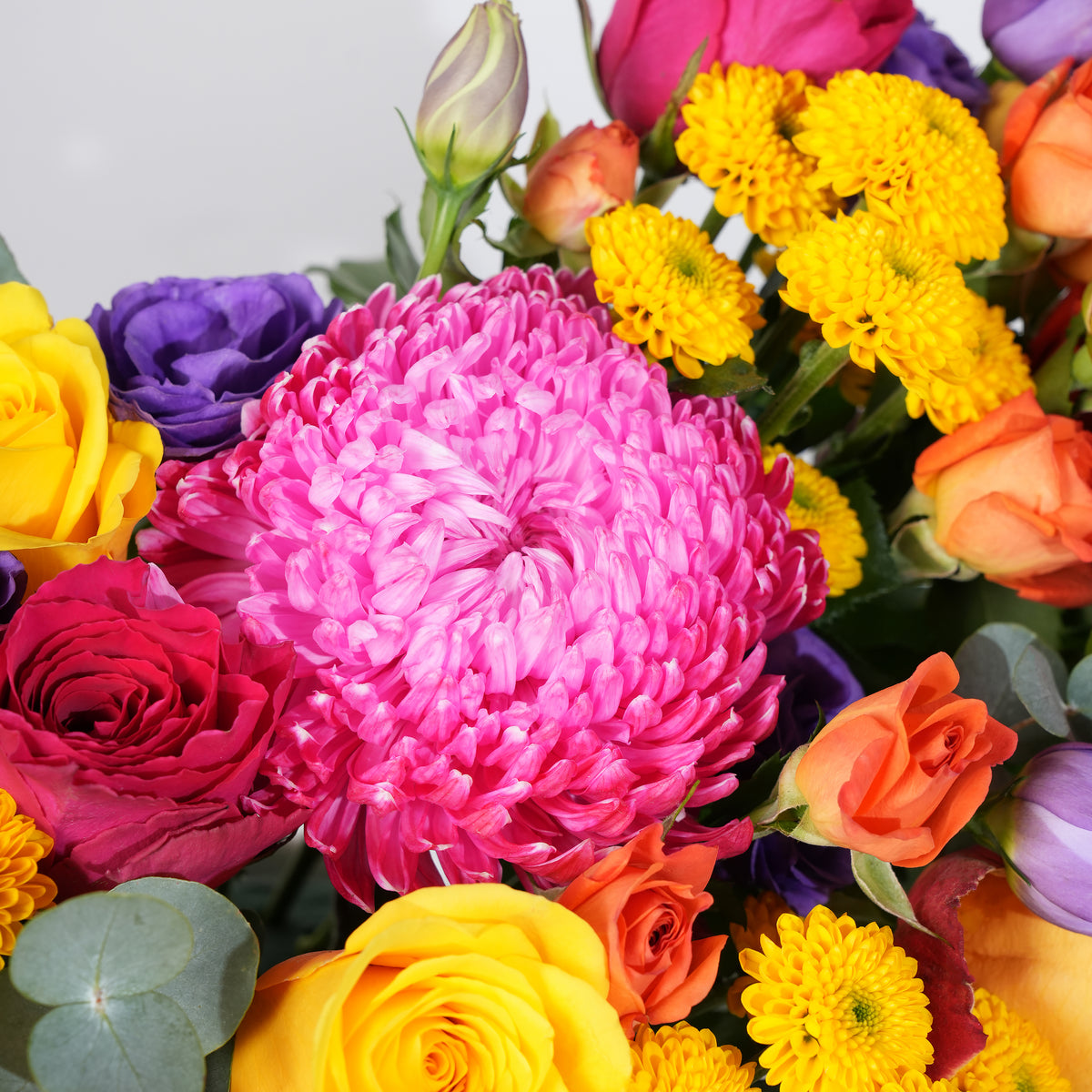 Petite Vibrant Hatbox