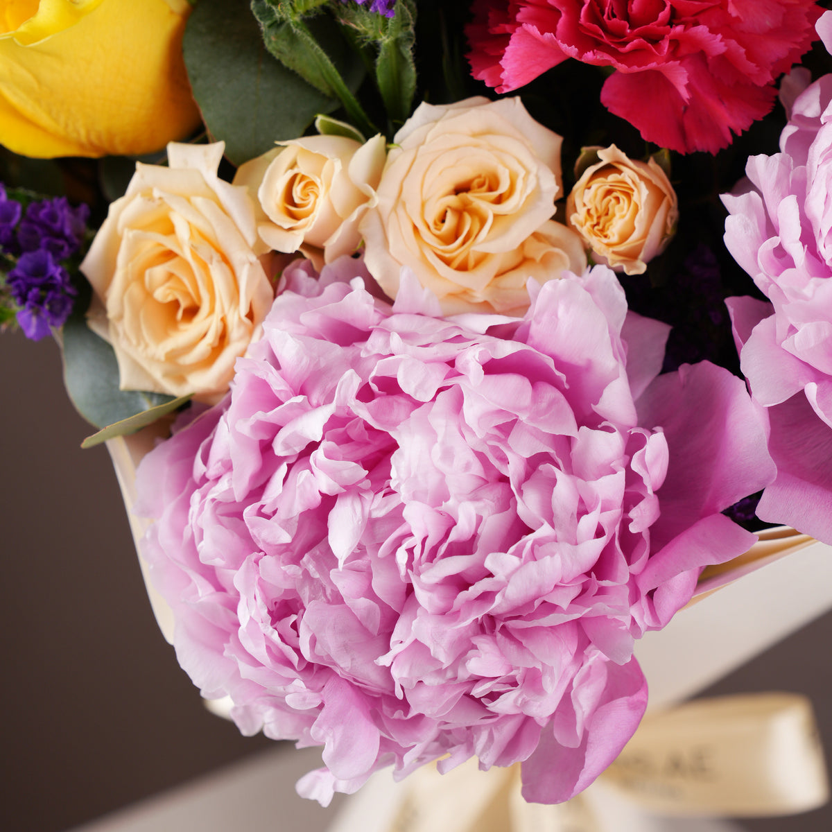 Vibrant Peony