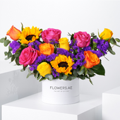 Petite Vibrant Hatbox