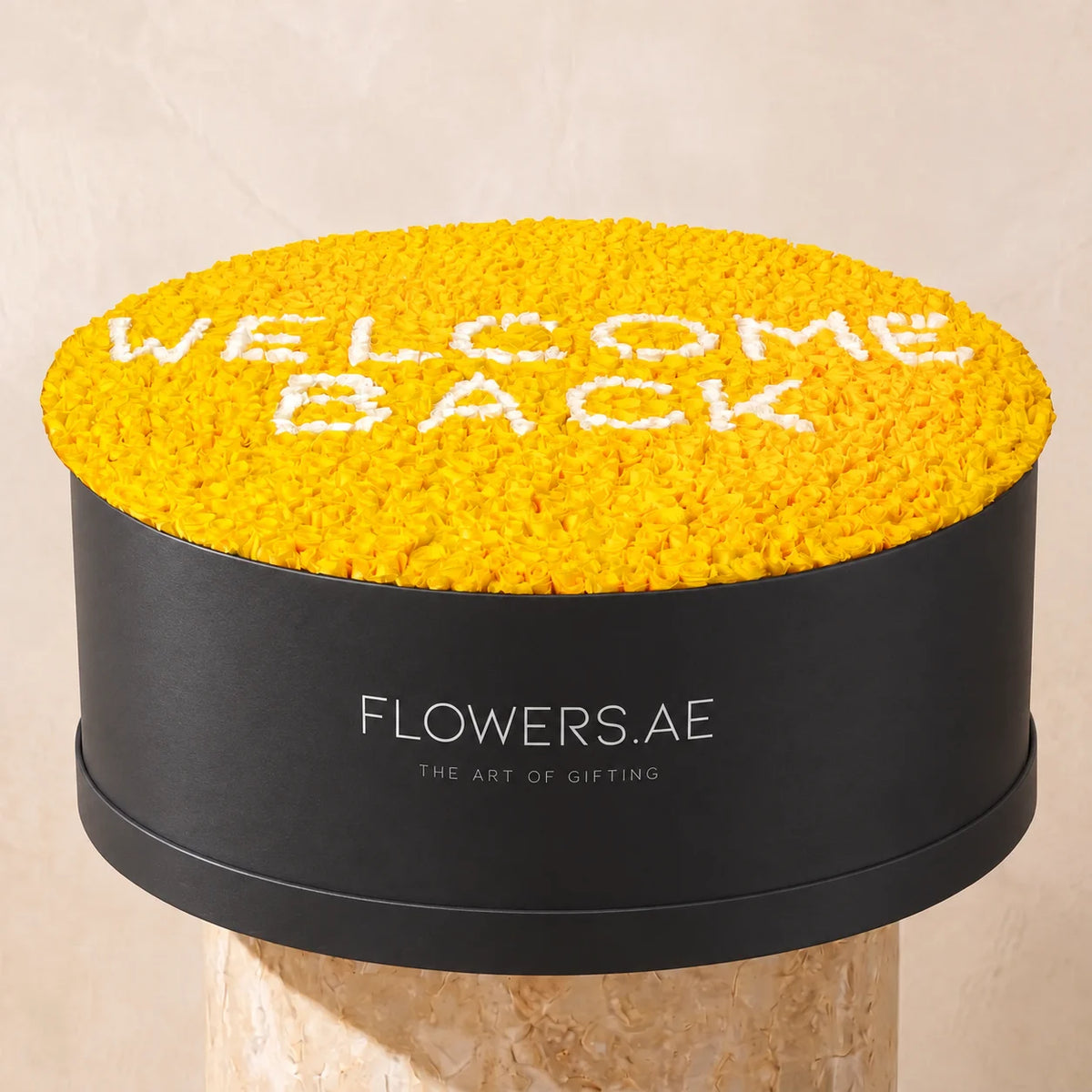 Welcome Back XXXL Hatbox