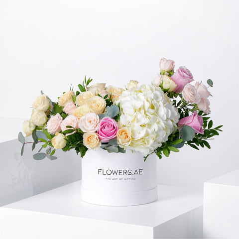 Petite White Florence Hatbox