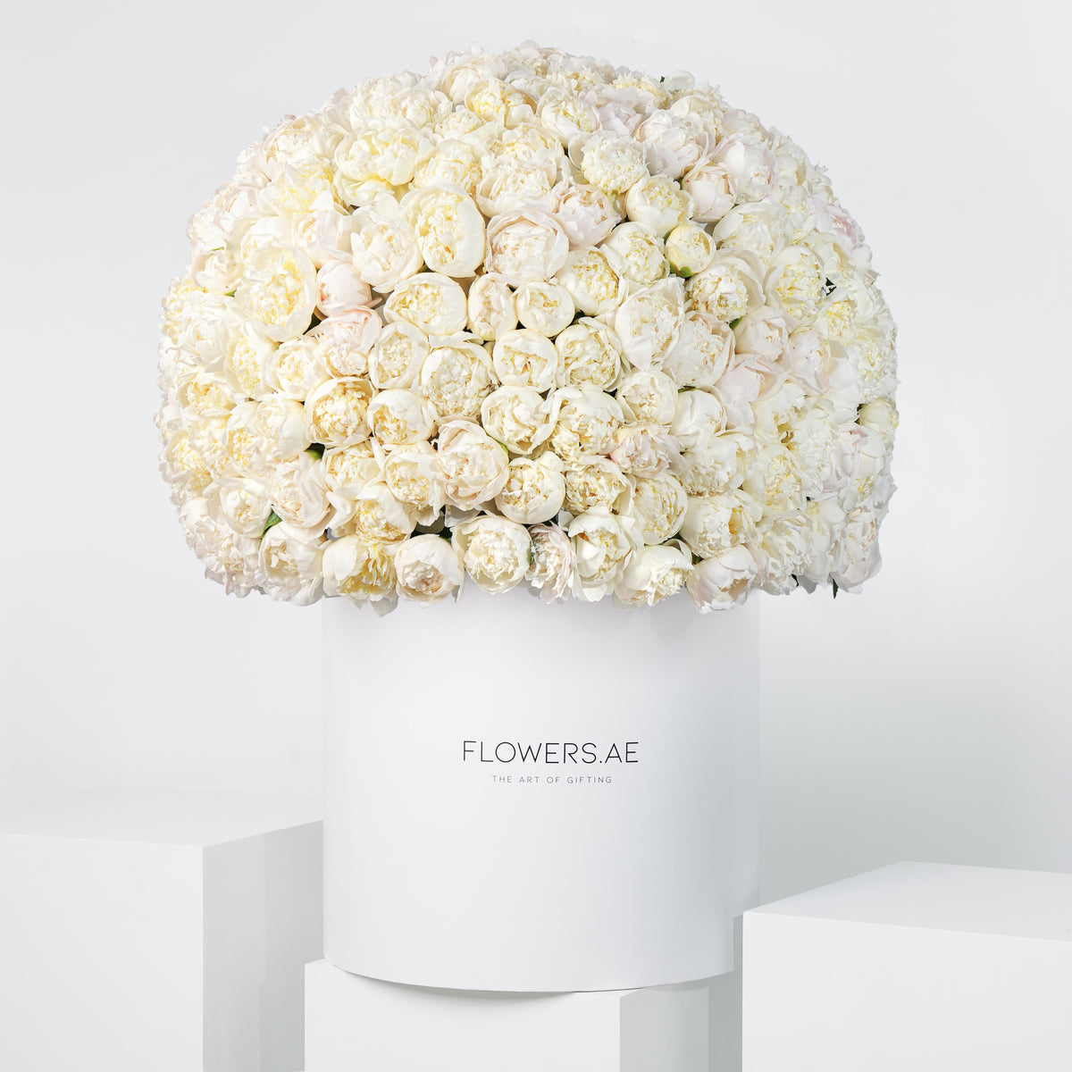 Royale White Peony Hatbox