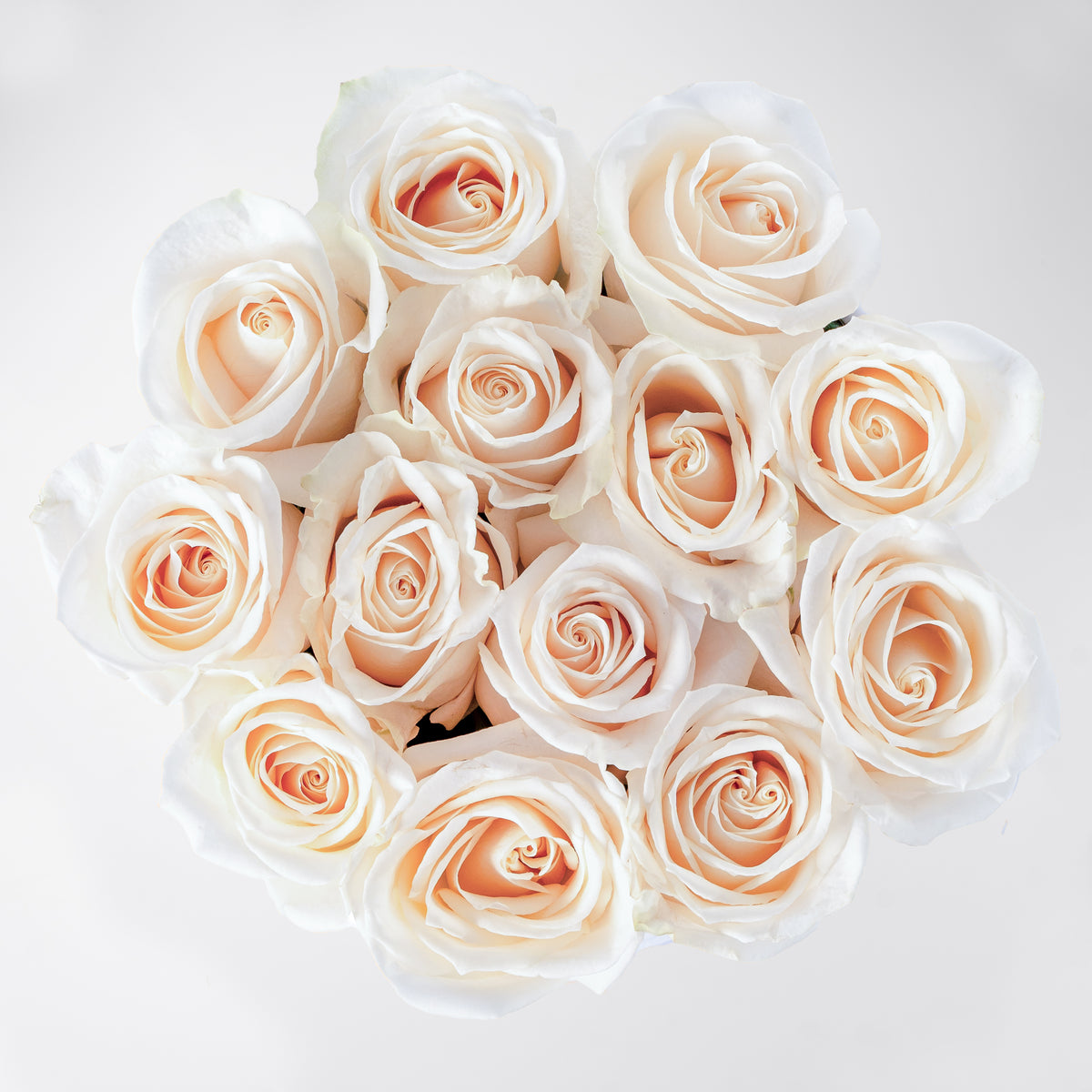 Petite White Roses Hatbox (Cake Gift Set)