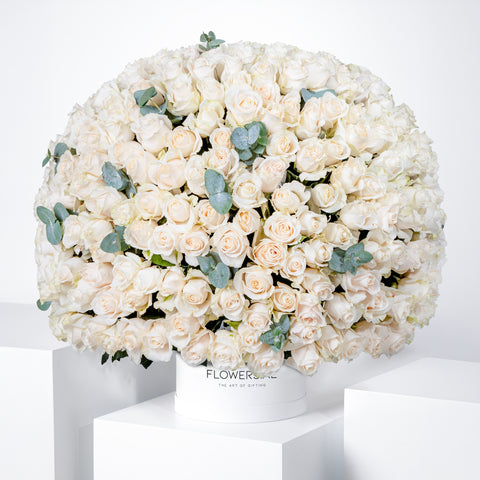 365 White Roses Hatbox