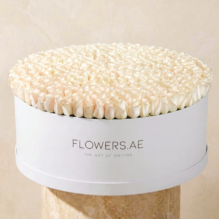 Baby 500 White Roses XXXL
