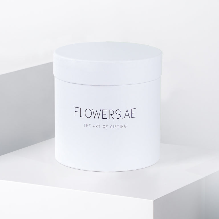 Petite Hatbox Colour