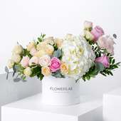Petite White Florence Hatbox