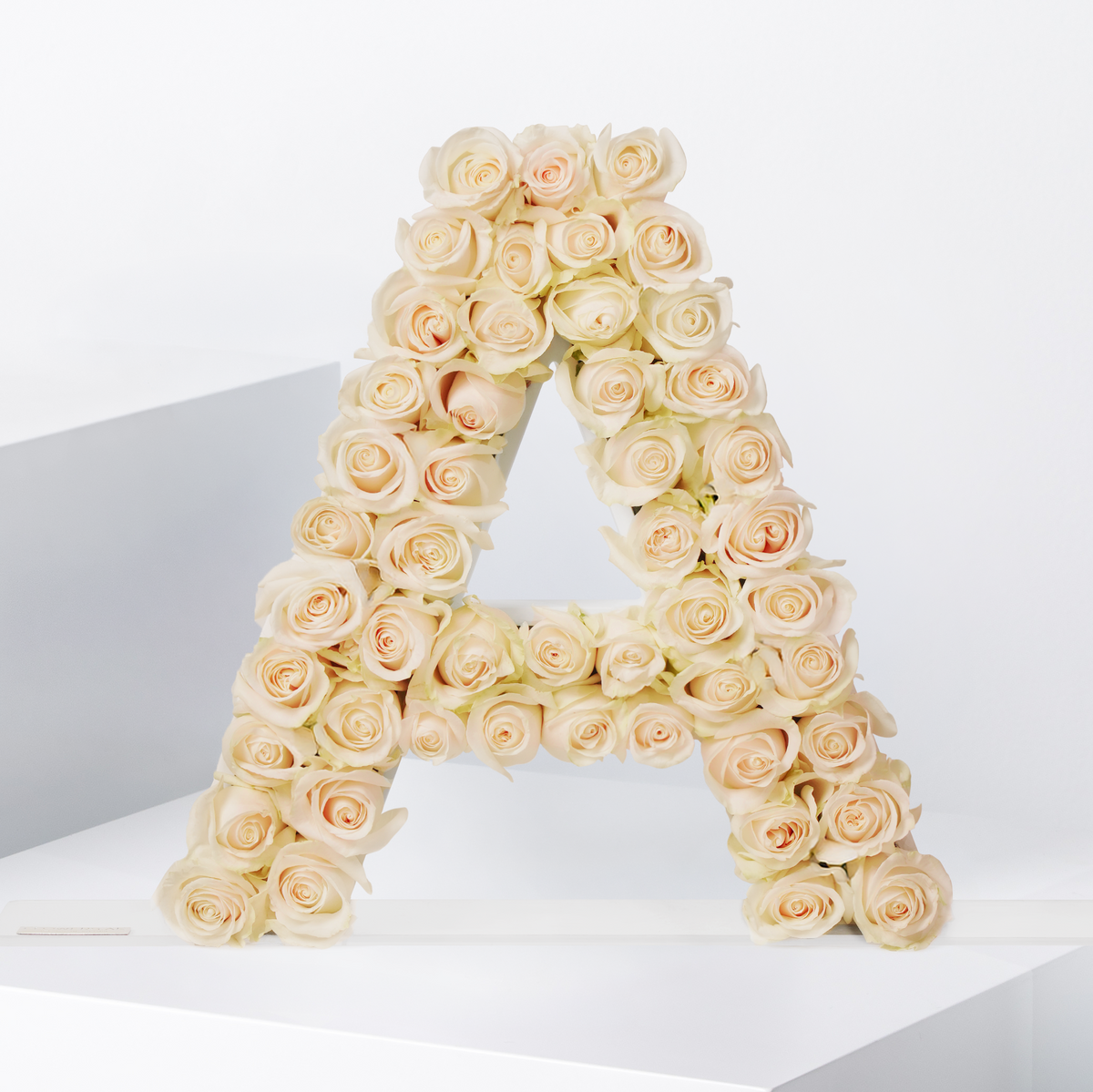 Rose Letter