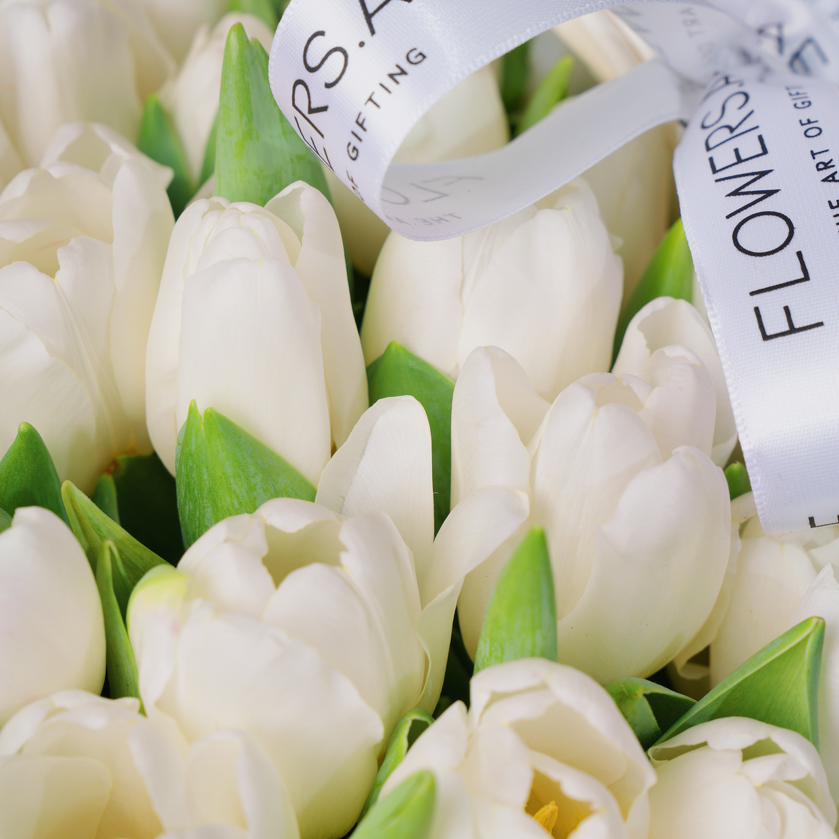 Luxury White Tulips Basket