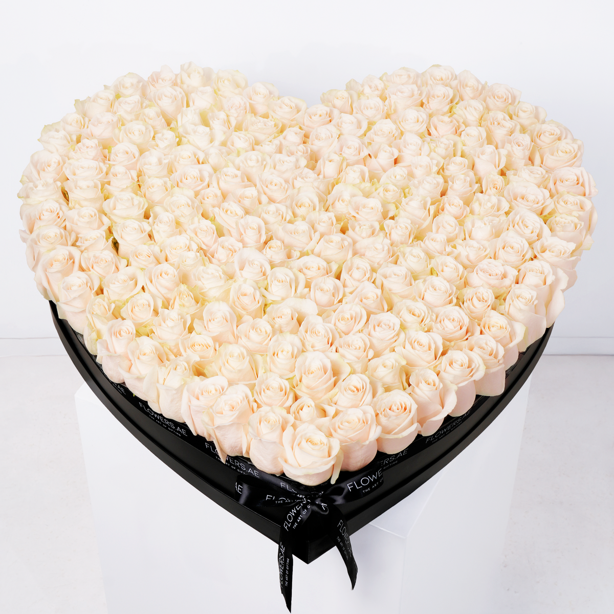 Valentine White Heart - XL