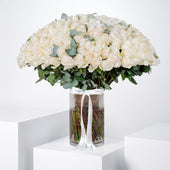 Valentine 200 White Roses Vase