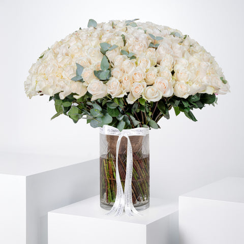 Valentine 200 White Roses Vase