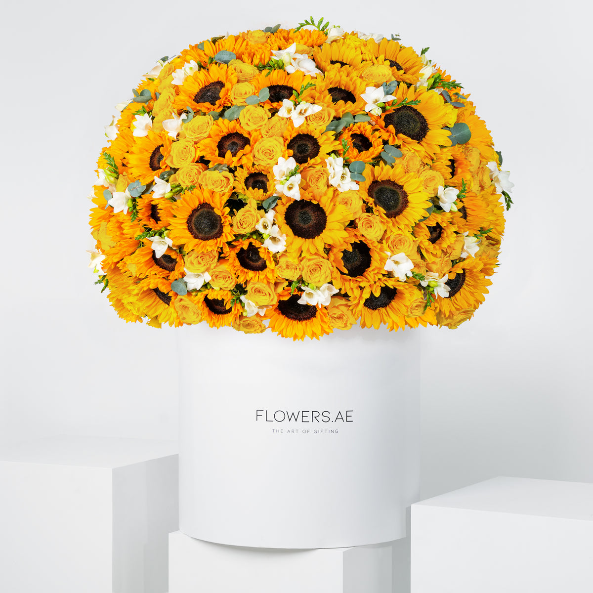 Royale Joy Hatbox