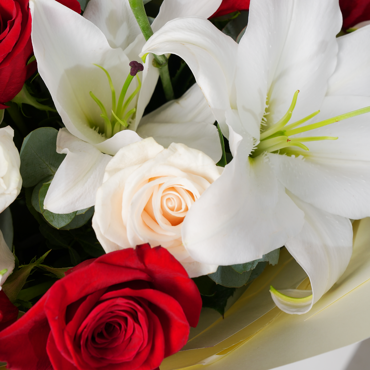 Congratulations Wonderfully White Classic