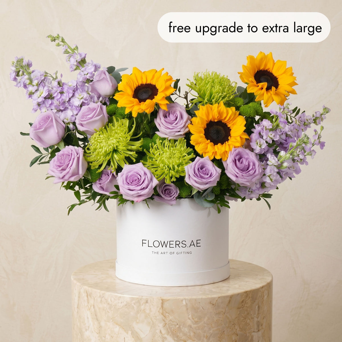 Provence Hatbox