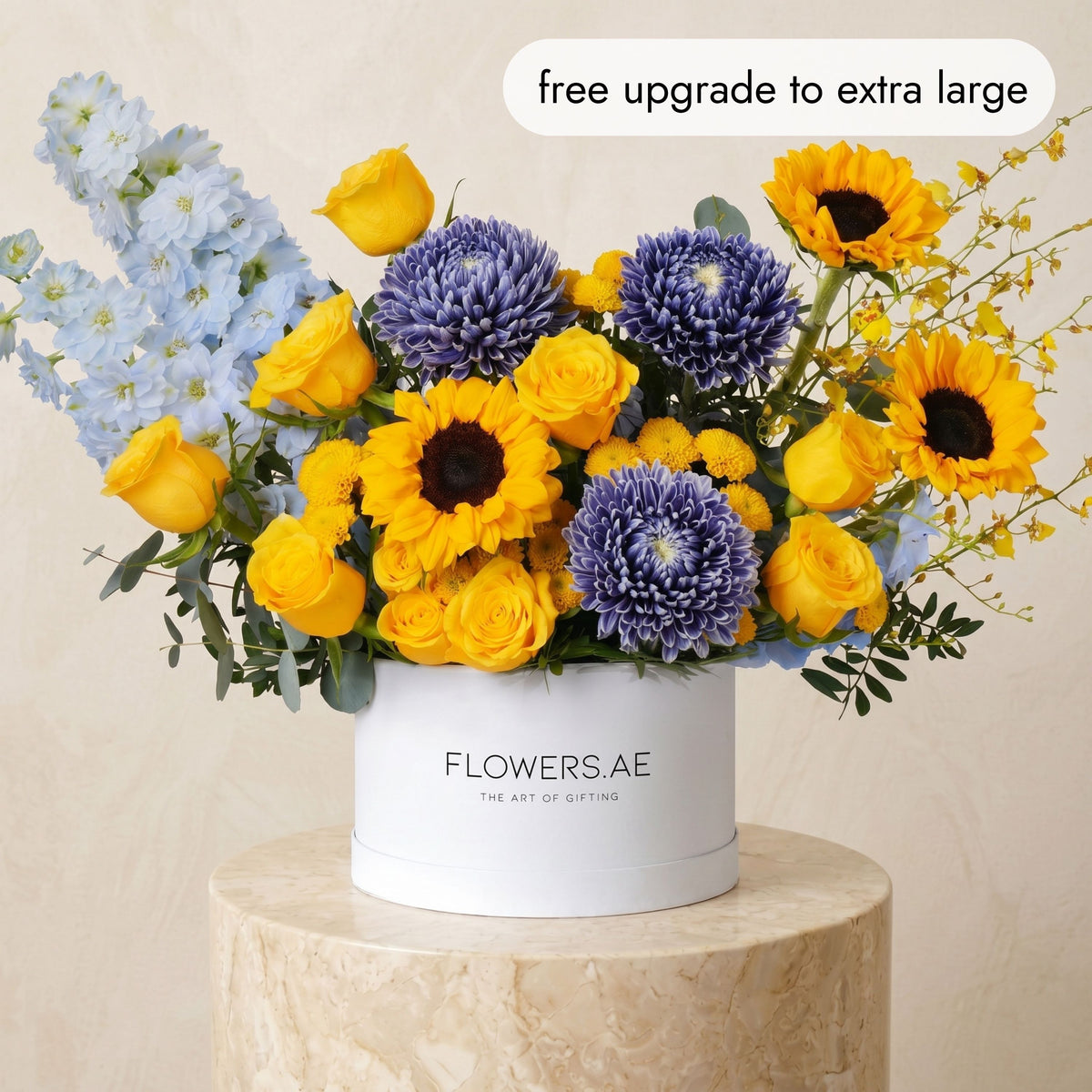 Santorini Hatbox