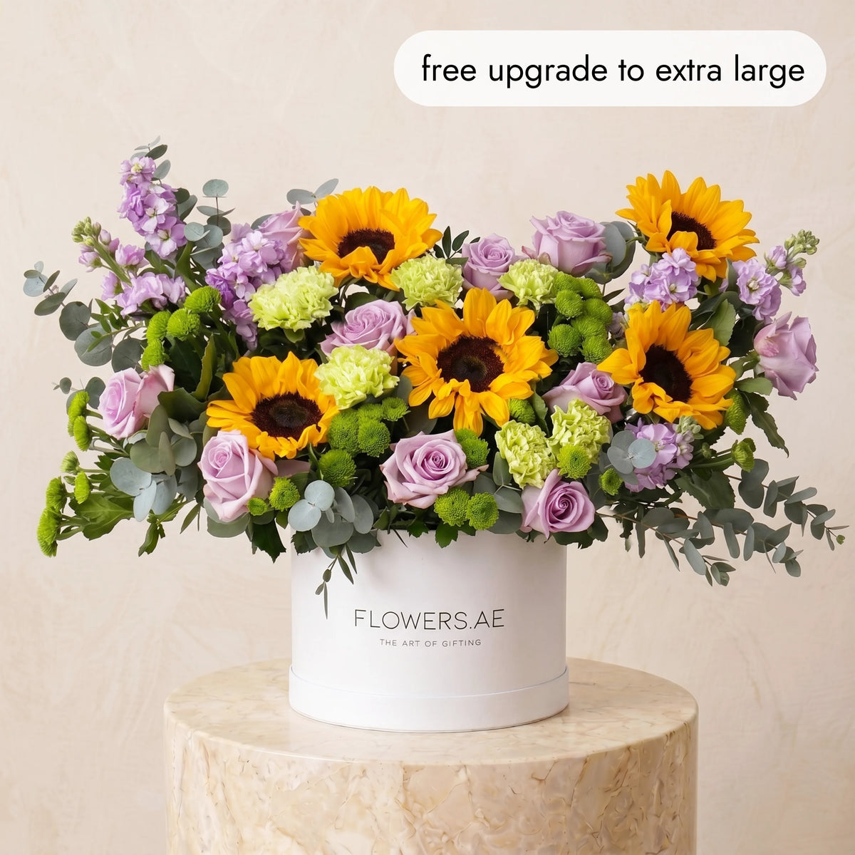 Provence Hatbox