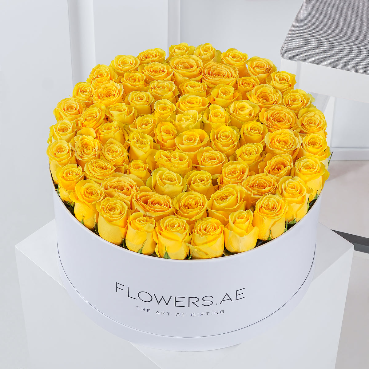 XXL Roses Hatbox