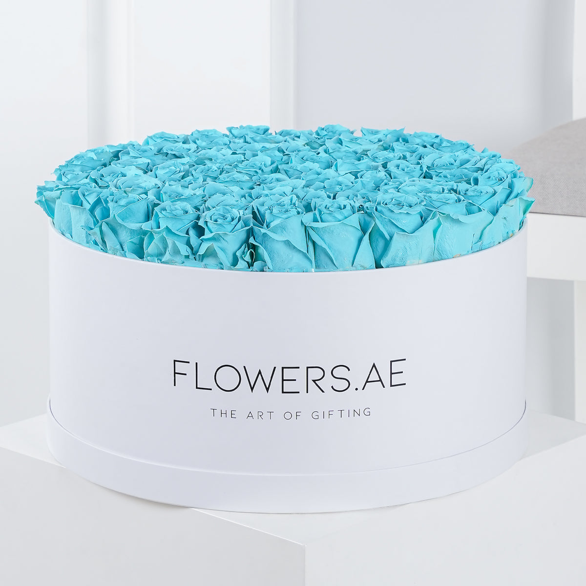 XXL Tiffany Blue Roses - Hatbox