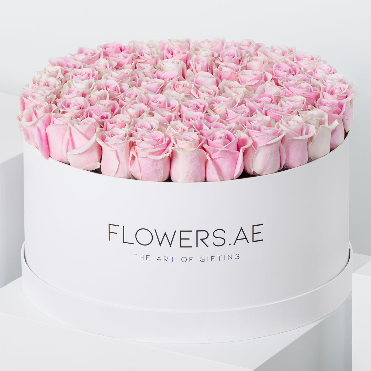 Valentine XXL Pink Roses Hatbox