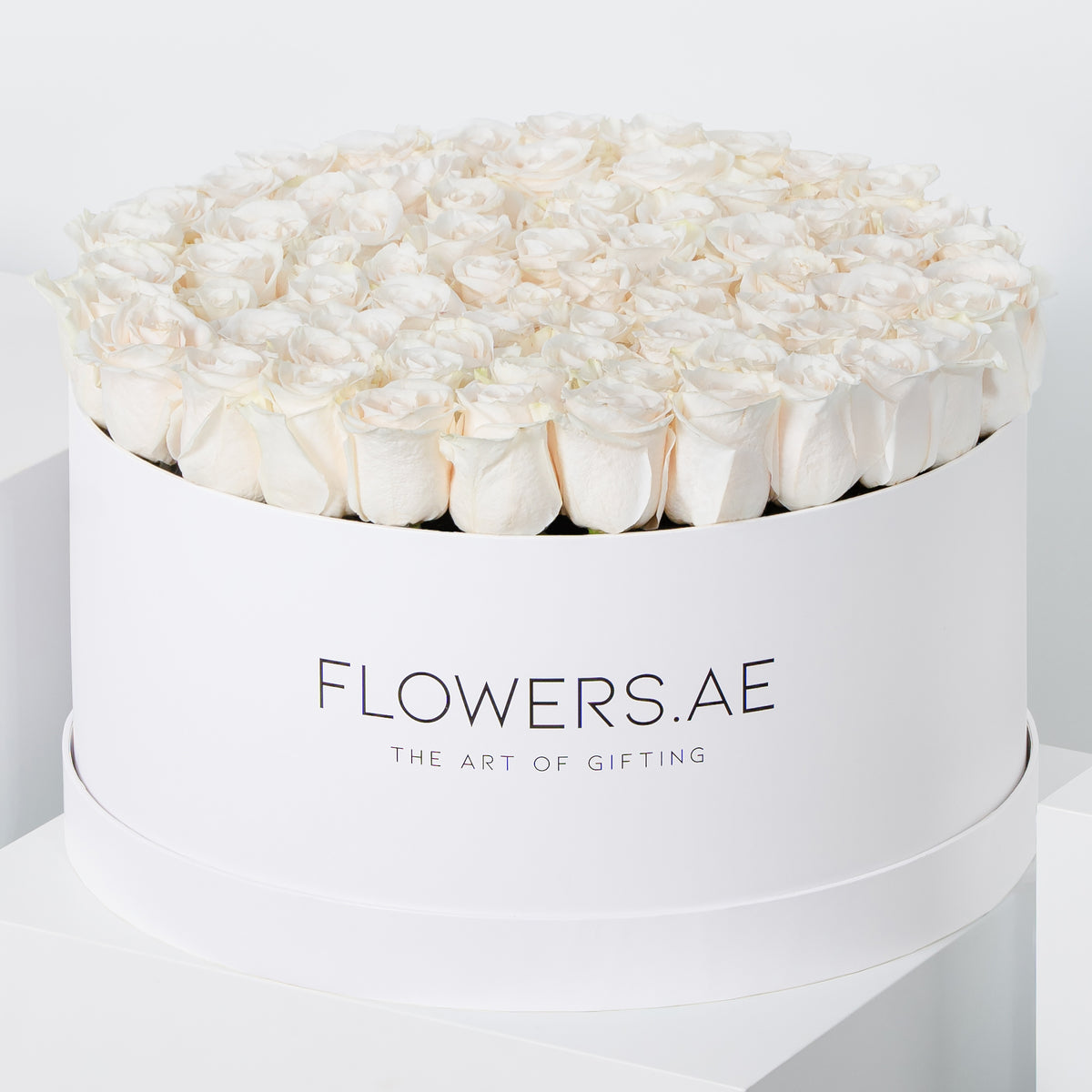 Valentine XXL White Roses Hatbox