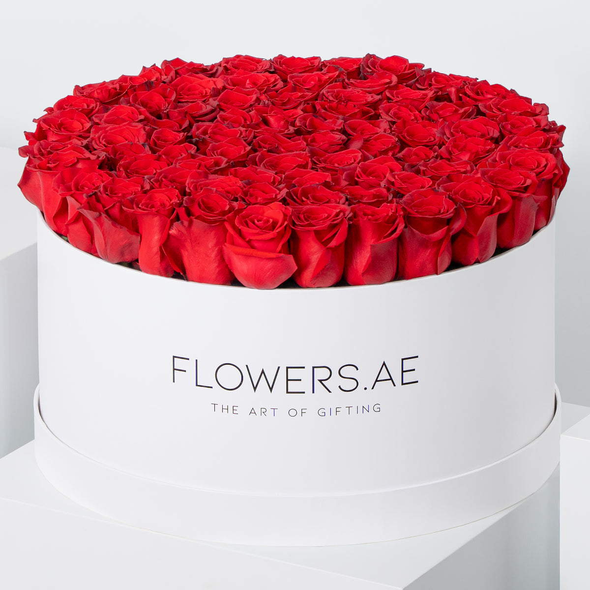 Valentine XXL Red Roses Hatbox