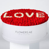 XXXL Word Hatbox