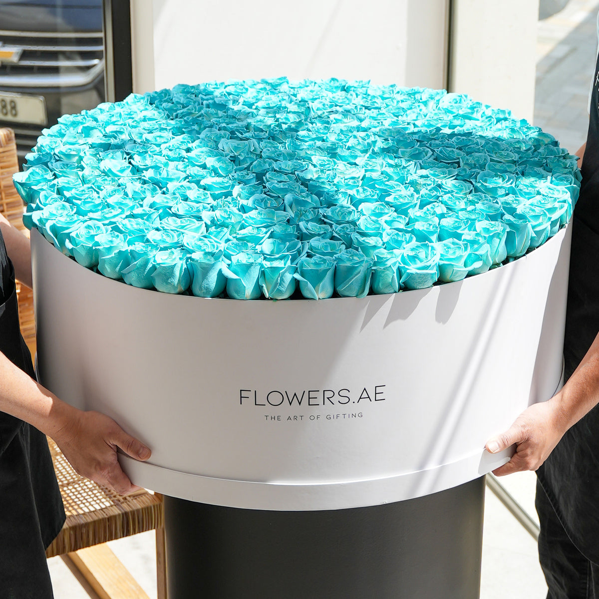 500 Tiffany Blue Roses XXXL