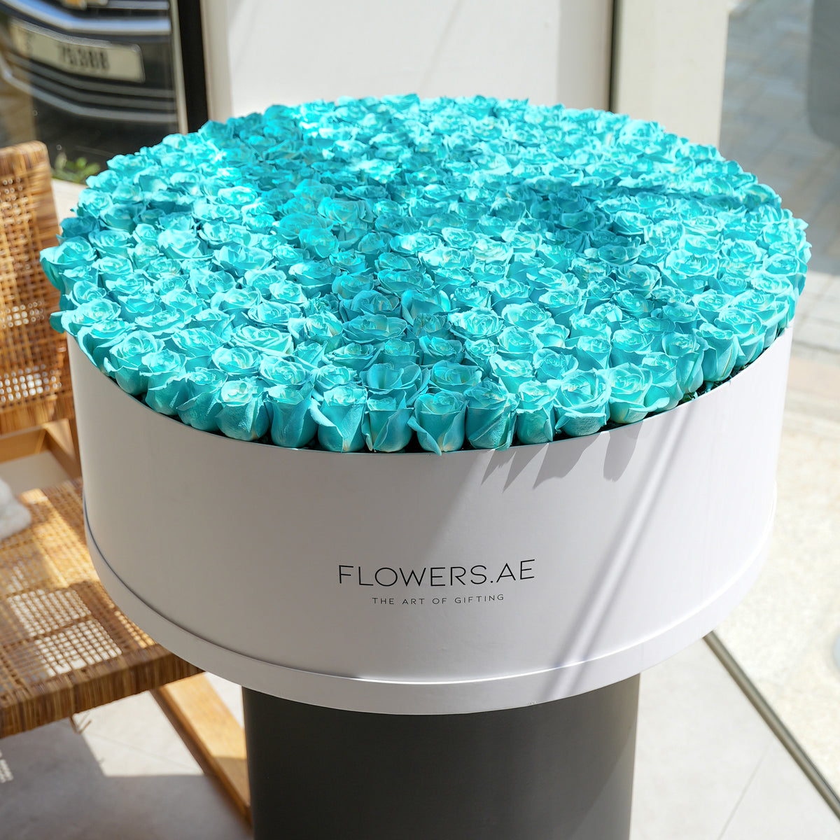 500 Tiffany Blue Roses XXXL