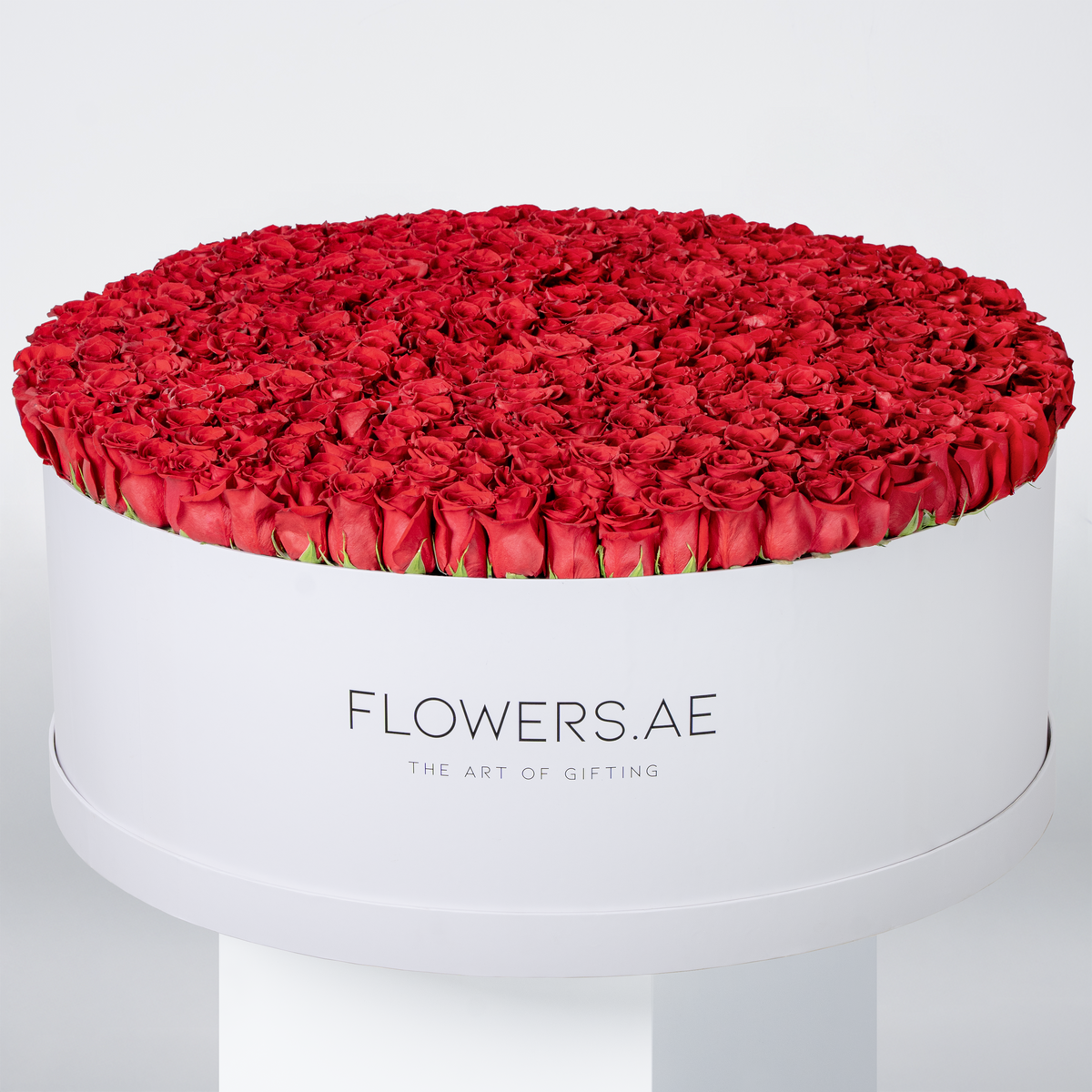 Valentine 500 Red Roses XXXL