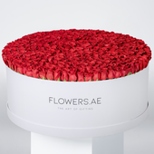 500 Red Roses XXXL