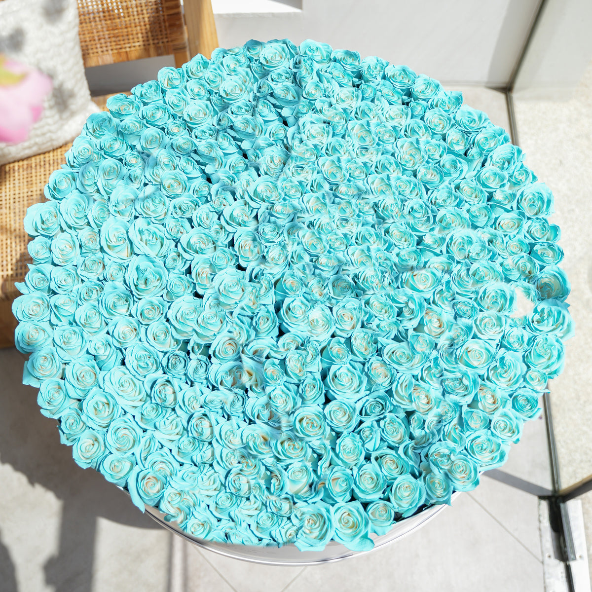 500 Tiffany Blue Roses XXXL
