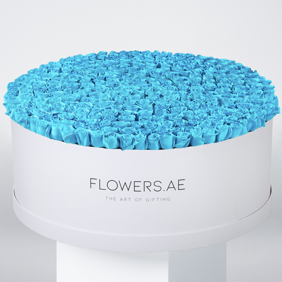 500 Tiffany Blue Roses XXXL