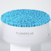 500 Tiffany Blue Roses XXXL