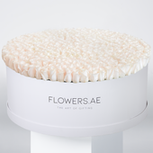 Baby 500 White Roses XXXL
